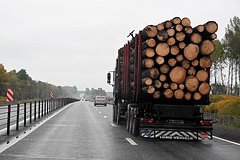 Российские власти упростили вывоз леса за рубеж: Рынки: Экономика: Lenta.ru0