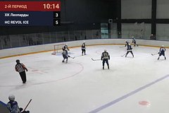 Российский хоккеист избил судью во время матча: Хоккей: Спорт: Lenta.ru0