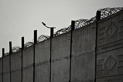 Российский спецназ предотвратил массовый побег из колонии в Мариуполе: Происшествия: Россия: Lenta.ru0