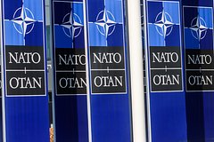 Румыния заявила о поддержке восьми стран вступления Украины в НАТО: Политика: Мир: Lenta.ru0
