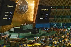 Сербия и Венгрия проголосовали за антироссийскую резолюцию в ООН: Политика: Мир: Lenta.ru0