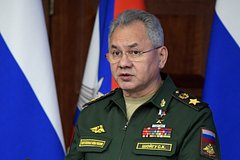 Шойгу назвал две не подлежащие частичной мобилизации категории граждан: Политика: Россия: Lenta.ru0
