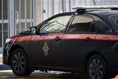 СКР возбудил дело из-за изнасилования 82-летней пенсионерки в Подмосковье: Следствие и суд: Силовые структуры: Lenta.ru0