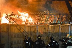 Следователи назвали причину пожара на цветочном складе в Москве: Следствие и суд: Силовые структуры: Lenta.ru0