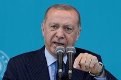 Слова Эрдогана об изменении позиции Шольца в отношении Путина опровергли: Политика: Мир: Lenta.ru0