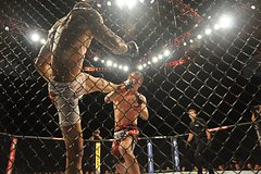 Соперник Анкалаева после ничьей призвал отдать россиянину пояс UFC: Бокс и ММА: Спорт: Lenta.ru0