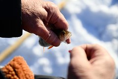 Стало известно о бедствии рыболовецкого судна в российском регионе: Происшествия: Россия: Lenta.ru0