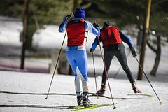 Стало известно о попытке двух российских лыжников сменить спортивное гражданство: Зимние виды: Спорт: Lenta.ru0