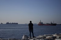 Турецкие сухогрузы продолжат вывозить зерно с Украины: Политика: Мир: Lenta.ru3