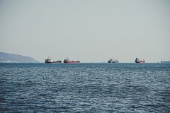 Турецкие сухогрузы продолжат вывозить зерно с Украины: Политика: Мир: Lenta.ru0