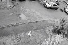 Уголовное дело завели из-за ушедшей из детского клуба полуторагодовалой девочки: Следствие и суд: Силовые структуры: Lenta.ru0