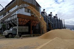 Украина понадеялась на продление зерновой сделки: Украина: Бывший СССР: Lenta.ru0