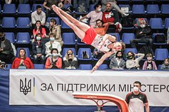 Украинская федерация гимнастики бойкотирует конгресс FIG из-за России: Летние виды: Спорт: Lenta.ru0
