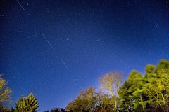 Украинских военных уличили в использовании Starlink для «всякой фигни»: Украина: Бывший СССР: Lenta.ru0