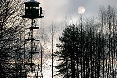 В Белоруссии оценили ситуацию у границ республики: Белоруссия: Бывший СССР: Lenta.ru0