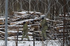 В Белоруссии пограничники обнаружили тело мигранта на границе с Польшей: Белоруссия: Бывший СССР: Lenta.ru0