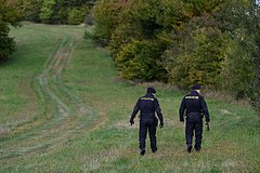 В Чехии заявили о контрабанде нелегальных мигрантов украинцами: Политика: Мир: Lenta.ru0