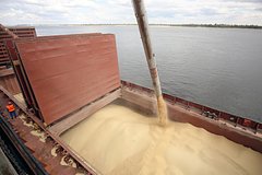 В ФАО прокомментировали предложение России по бесплатному экспорту зерна: Политика: Мир: Lenta.ru0