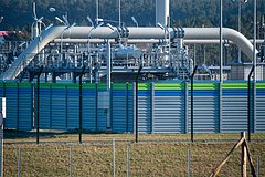 В Германии прокомментировали указ Путина об ограничениях для «Газпрома»: Госэкономика: Экономика: Lenta.ru0