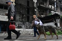 В Конституцию России внесли изменения: Общество: Россия: Lenta.ru2