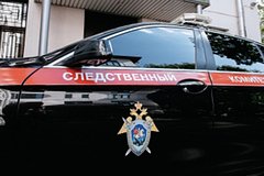 В Москве осудили членов ОПГ за аферу на четверть миллиарда рублей: Следствие и суд: Силовые структуры: Lenta.ru0
