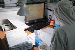В Петербурге выявили несколько случаев свиного гриппа: Общество: Россия: Lenta.ru0