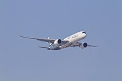 В России разработали инструкцию на случай захвата самолета: Россия: Путешествия: Lenta.ru0