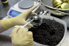 В России снизились цены на один деликатес: Рынки: Экономика: Lenta.ru0