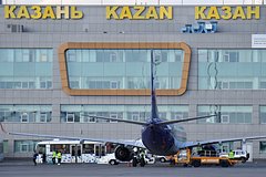 В российском аэропорту самолет сбил насмерть дикое животное во время взлета: Происшествия: Путешествия: Lenta.ru0