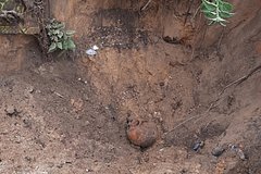 В российском регионе нашли груду костей во время выкапывания ямы для туалета: Происшествия: Россия: Lenta.ru0