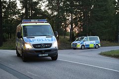 В Швеции застрелили четырех сбежавших из зоопарка шимпанзе: Звери: Из жизни: Lenta.ru0