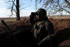 В США рассказали о несогласных с политикой НАТО по Украине: Политика: Мир: Lenta.ru0