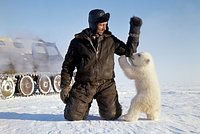 Вероятность вооруженного конфликта в Артике оценили: Политика: Россия: Lenta.ru2