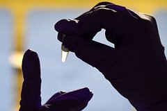 Вирусолог оценил опасность распространения сибирской язвы на Украине для россиян: Общество: Россия: Lenta.ru0