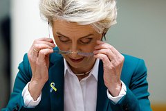 Во Франции назвали фон дер Ляйен сумасшедшей за дотации Украине: Политика: Мир: Lenta.ru0