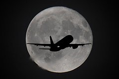 Западные страны призвали готовиться к возобновлению полетов через Россию: Мир: Путешествия: Lenta.ru0